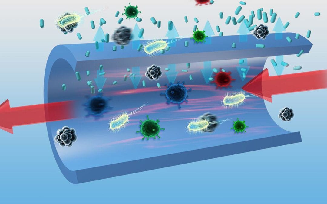 How antimicrobial coatings can prevent such health hazards?